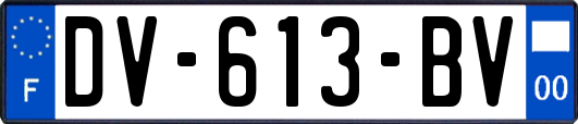 DV-613-BV