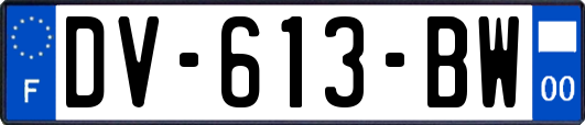 DV-613-BW