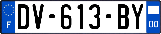 DV-613-BY