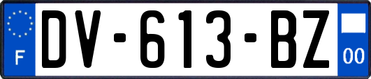 DV-613-BZ