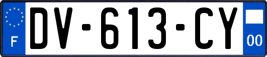 DV-613-CY