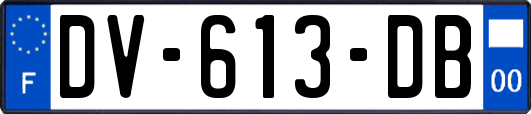 DV-613-DB