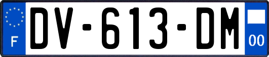 DV-613-DM