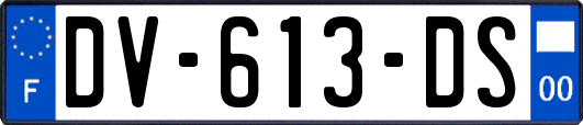 DV-613-DS