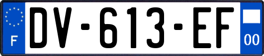 DV-613-EF