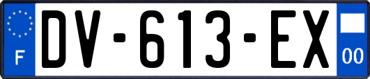 DV-613-EX