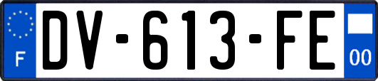 DV-613-FE