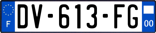 DV-613-FG