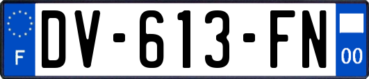 DV-613-FN