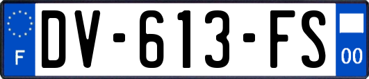 DV-613-FS