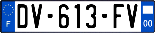 DV-613-FV