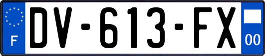 DV-613-FX