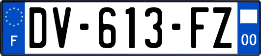 DV-613-FZ