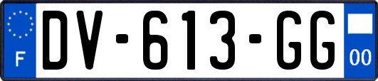 DV-613-GG