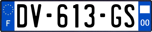DV-613-GS