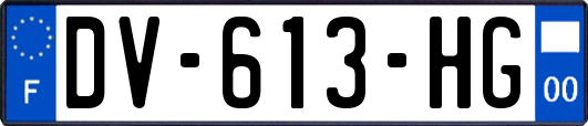 DV-613-HG