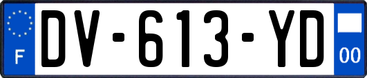 DV-613-YD