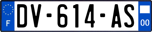 DV-614-AS