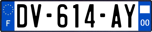 DV-614-AY