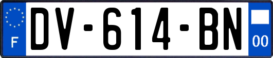 DV-614-BN