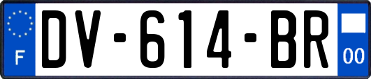 DV-614-BR