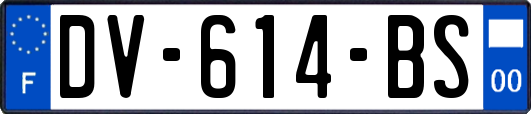 DV-614-BS