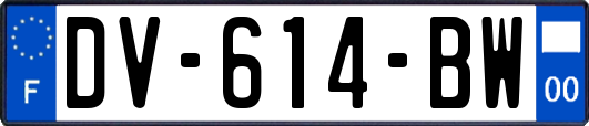 DV-614-BW