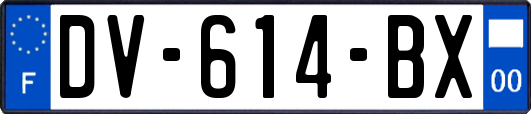 DV-614-BX