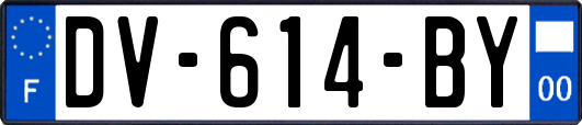 DV-614-BY