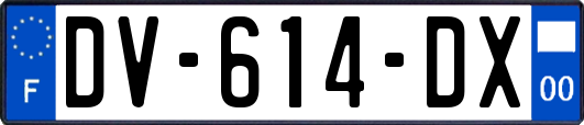 DV-614-DX