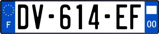 DV-614-EF