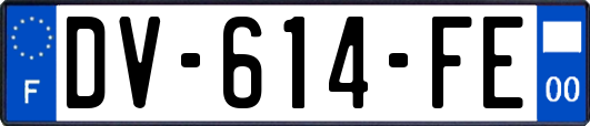 DV-614-FE