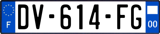 DV-614-FG