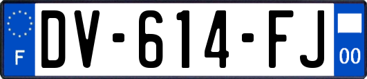 DV-614-FJ