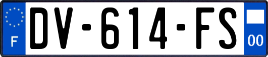 DV-614-FS