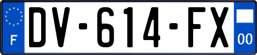 DV-614-FX