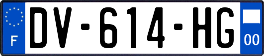 DV-614-HG