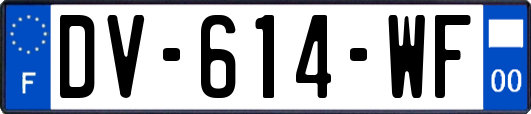 DV-614-WF