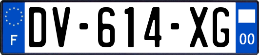 DV-614-XG
