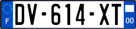 DV-614-XT