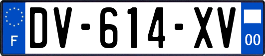 DV-614-XV