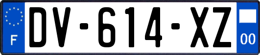 DV-614-XZ