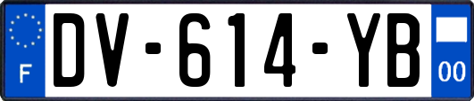 DV-614-YB