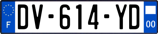 DV-614-YD