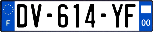 DV-614-YF