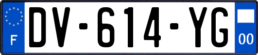 DV-614-YG