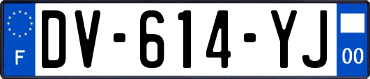 DV-614-YJ
