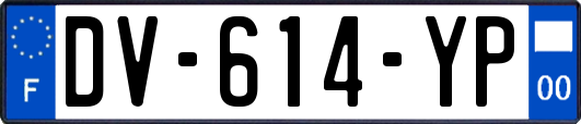DV-614-YP