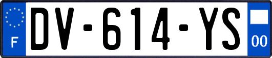 DV-614-YS