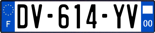DV-614-YV
